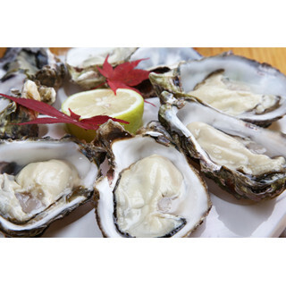 フランス式の熟成牡蠣も! 東京都・銀座の広島ショップにオイスターバー登場