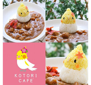 東京都三鷹市のことりカフェ吉祥寺にオカメインコの「ことりんカレー」登場