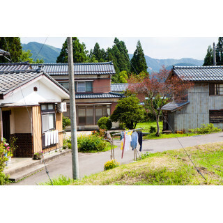 爆買いのみならず! 中国人が行きたい日本「灰色の東京より見るものが多い」