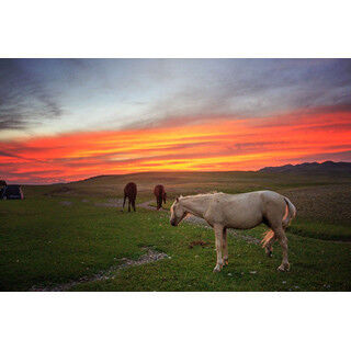 馬とスローな旅を神秘の国キルギスで! そこはただただ美しかった--写真10枚