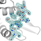 理研、SACLAを利用したS-SAD法でリゾチームタンパク質の結晶構造決定に成功