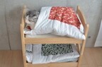 猫のためにお布団つきの猫用二段ベッドを作ってみた