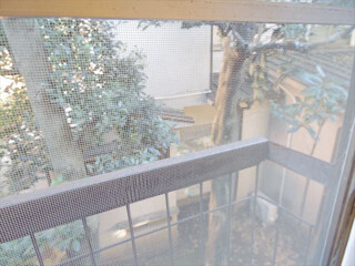 大掃除!! 100均グッズでササッときれいに♪ 洗剤いらずの網戸掃除法