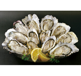 全国21店舗のオイスターバーで牡蠣の食べ放題を開催