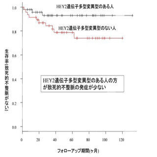 広島大学、突然死を引き起こす「ポックリ病」のリスク低減遺伝子を発見