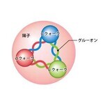 理研、陽子内部のグルーオンの向きを精密測定することに成功