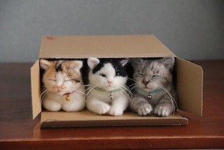 本物そっくりな猫・犬のフェルトアート展が開催