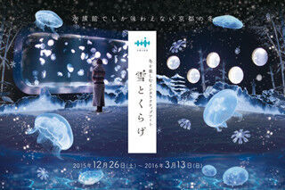 京都の冬をクラゲが彩る「雪とくらげ」が開催中