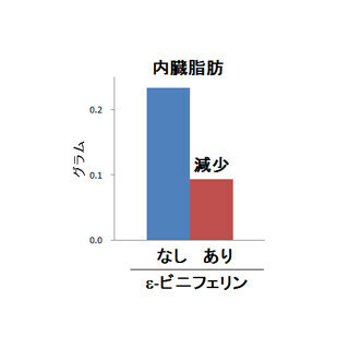 赤ワインに含まれる「ε-ビニフェリン」に肥満抑制効果があることを実証