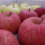 東京都・六本木で青森のりんご販売会を2月5日に開催 - BASFジャパン