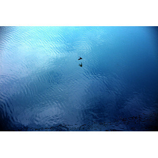 加藤ゆか写真展「一蓮托生」をキヤノンギヤラリーで開催