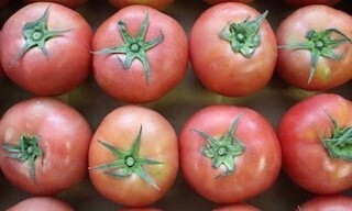 キリンシティ、"はかた地どり"などを使った旬の九州グルメフェアを開催