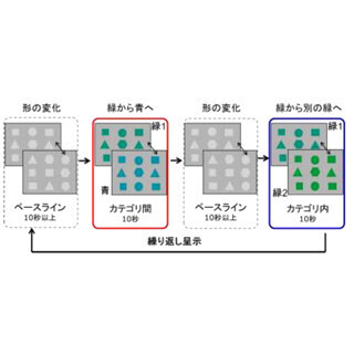 中央大など、言語獲得前の赤ちゃんも青と緑を区別することを確認