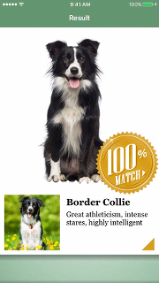 MS、API活用で犬種を識別するアプリ「Fetch!」を米国でリリース