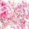 東京都・丸の内で、桜を光・風・音・香で体感するインスタレーション