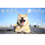 いぬねこ限定の10秒動画サービス「mofur」、Web版がスタート