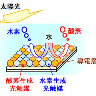 NEDOら、水中で太陽光を照射するだけで水を分解できる光触媒シートを開発