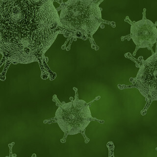 新たなジカ熱感染者を厚労省が発表 - 中南米での流行以降2人目