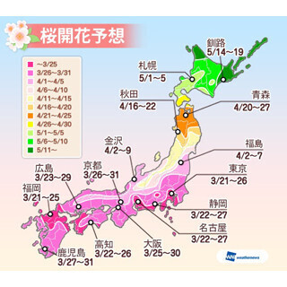 東京はまもなく開花! 全国の最新桜開花予想が明らかに