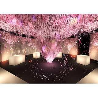 愛知県・名古屋市で夜景とプロジェクションマッピングによる花見空間イベント