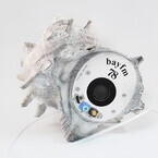 サザエの貝殻を丸ごと使ったラジオ「SAZAE RADIO」 - bayFMが開発