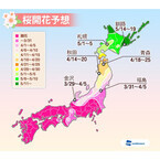 関東の桜は続々満開に! 週末は雨の花見か - 最新桜開花予想発表