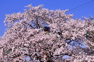 「第9回 タムロン鉄道風景コンテスト」、5月1日から作品募集開始