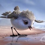 かわいすぎるピクサー短編『ひな鳥の冒険』映像公開!『ニモ』続編と同時上映