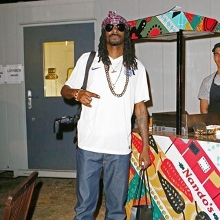 スヌープ･ドッグとウィズ･カリファのコンサートで観客が転落、42名負傷か