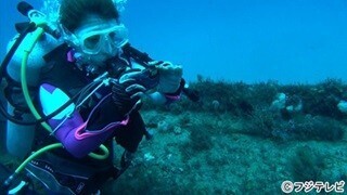 矢口真里、「絶対に幸せになりたい!」とバミューダ伝説の財宝探しに挑戦