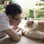 人気アプリ「ねこあつめ」が実写化! 猫の新旧オールスター×伊藤淳史