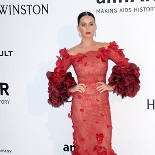 ケイティ･ペリー、米大統領選をテーマにした曲を新アルバムに追加へ