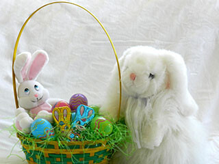 ウサギの性格-「女王様っぽい」「社交的」「甘えん坊」など