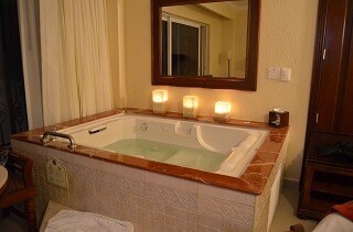 なぜ猫は一緒にトイレや風呂に入ろうとするのか