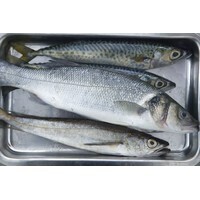 【男性編】職場で食べられると迷惑な料理ランキング