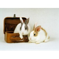 【男性編】バッグの中に入れておくと安心なモノランキング