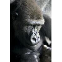 【男性編】自身について、「ワイルドだぜぇ」と思うところランキング