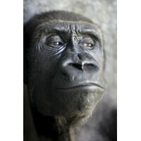 【女性編】もしかしたら前世でやっていたのかも?　と思う職業ランキング