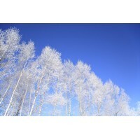 【男性編】死ぬ前に一度は見てみたい、世界の絶景ランキング