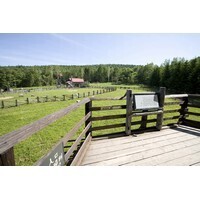 【女性編】行ってみておもわず興奮した映画ロケ地ランキング