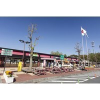 【女性編】SA、PAのご飯で食べたいと思うものランキング