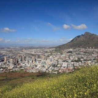 ”自然”と”都会”が融合する南アフリカ・ケープタウン (1) 世界遺産内にある広大な植物園