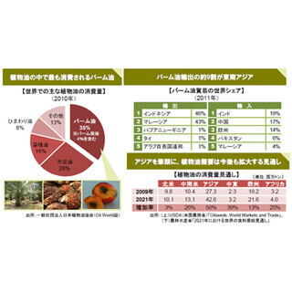 日常生活に不可欠な農業資源パーム油とは？