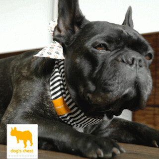 暑い夏を愛犬と乗り越える!　犬用「cool-erimaki(クールえりまき)」発売