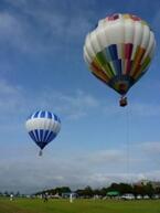 空から眺めるハスの大群生!　熱気球フライト体験で琵琶湖の夏に感動！