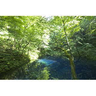 映画のロケ地＆アニメの舞台、人気ランキング--「もののけ姫」のあの場所も!