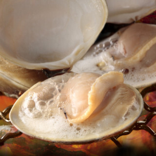 食のトレンド満載--New Openグルメガイド (13) 次々出てくる「焼きはまわんこ」を楽しむはまぐり専門店