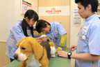 「キッザニア東京」の「動物病院」パビリオンでリアルな獣医師体験を