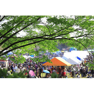 お金を稼げるワザが満載! ”大変な時代”を生きるための収入アップ講座 (4) ”断捨離ブーム”も活用! 毎月10万円を確実に稼ぐ方法