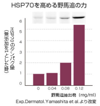 42度のお風呂入浴は紫外線によるシワ予防効果あり!?　再春館製薬などが発見